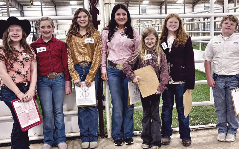 HORSE JUDGING