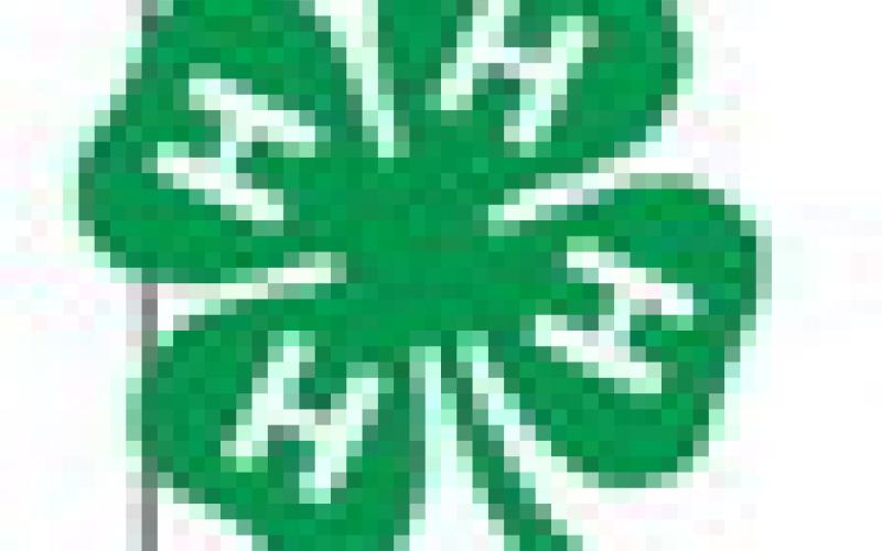 4-H shines in Leon County