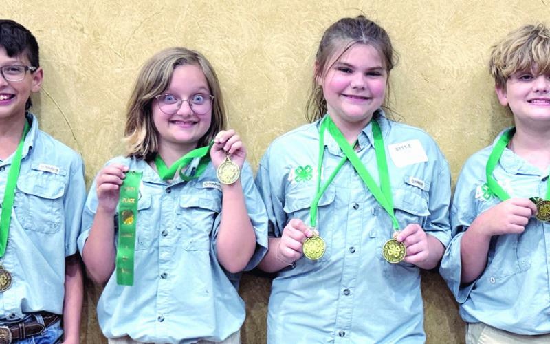 First place in junior consumer were (L-R) Winston Walzel, Mackenzie Holcombe, Abigail Basonic and James Holcombe. (First medaled: Abigail Basonic in Poetry Prose and James Holcombe.)