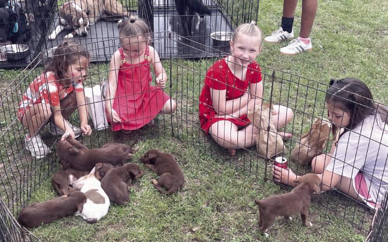 A BIG HIT— Rockdale Community Market held its first fair at Wolf Park on Saturday and these puppies from Rockdale Animal Shelter were a big hit with these girls. The market will be held each Saturday from 9 a.m. to 1 p.m.