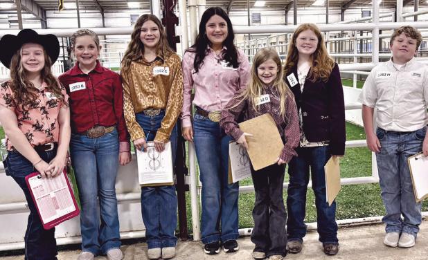 HORSE JUDGING