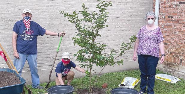 EARTH DAY LIVES