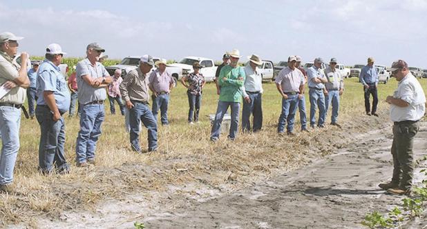 Crop tour 2021