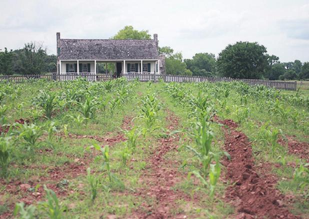 Plantation is a slice of life in the 1850s