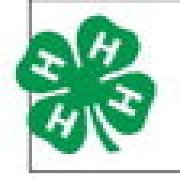 4-H shines in Leon County