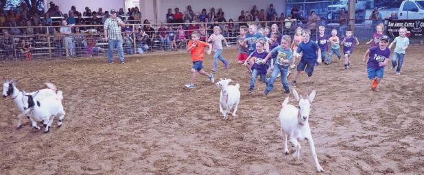 Fair totals highest ever in 2021