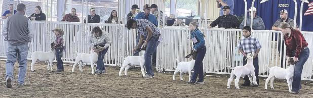 Scenes from the 2024 Rockdale Fair, Rodeo