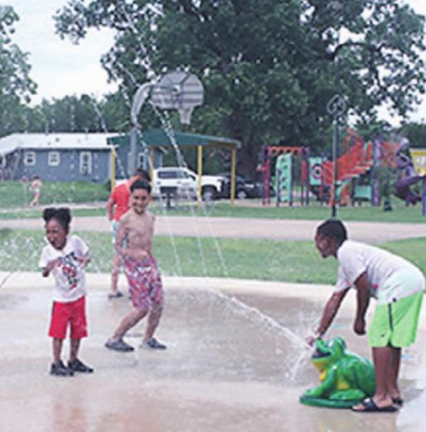 Park board to go after project grants