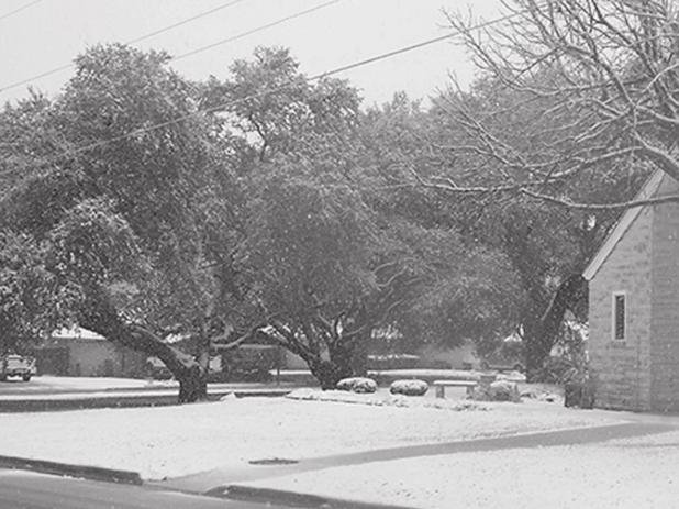 JANUARY 2021 SNOW