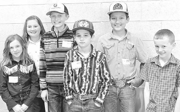 4-H teams place 4th, 5th in horse judging