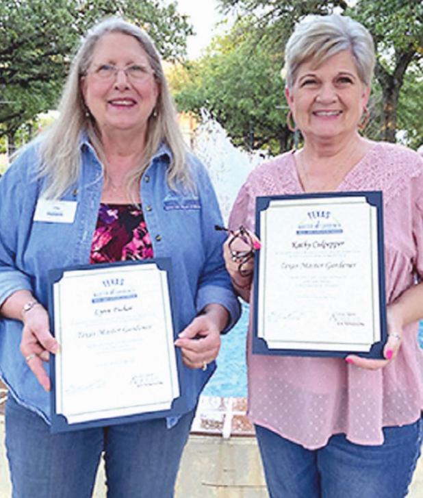 Master gardener certifications