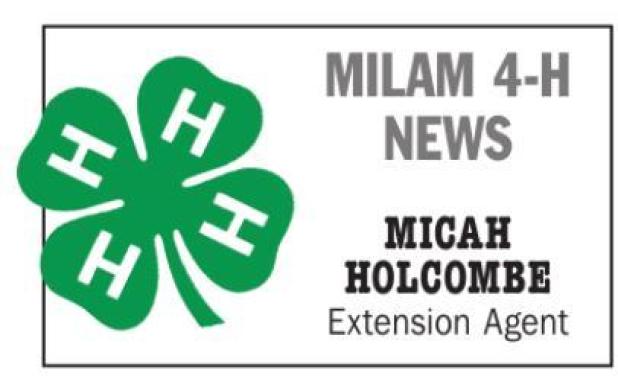 4-H service projects continue in county