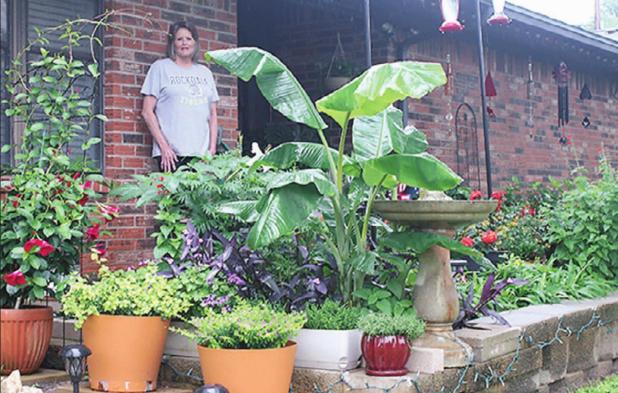 Yard of the month