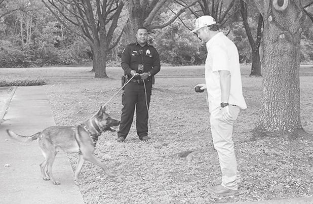 Canine skills demonstration