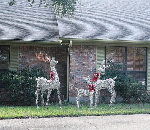 Dear, deer