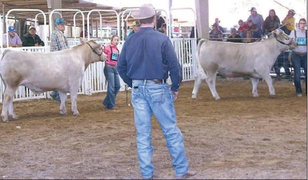 Fair sales nearing $700,000