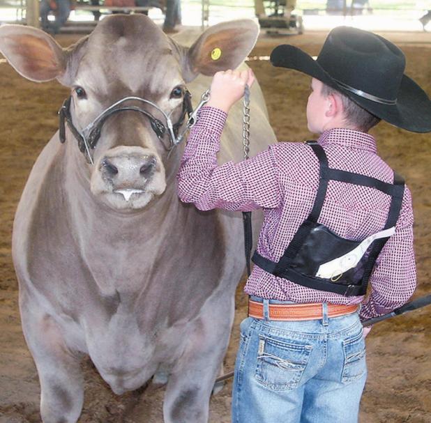 Fair auction shatters record