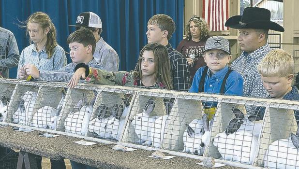 More fun from the 2022 Rockdale Fair