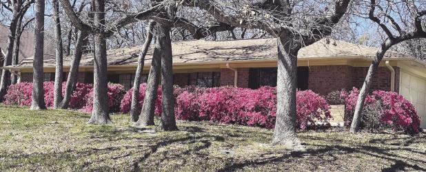 SPRING HAS SPRUNG
