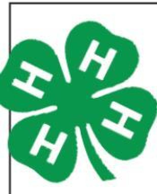 Milam 4-H starting dog project in the fall