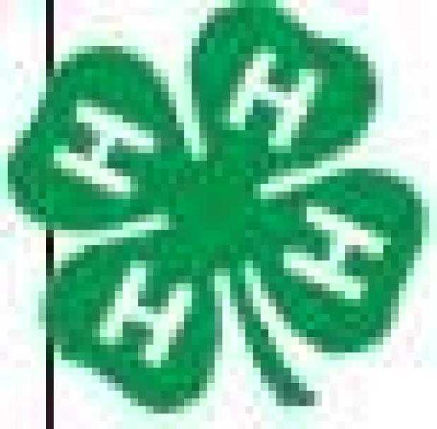 A week to celebrate 4-H programs