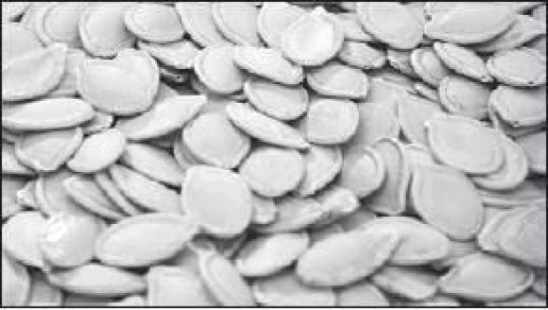 How to prepare and cook pumpkin seeds