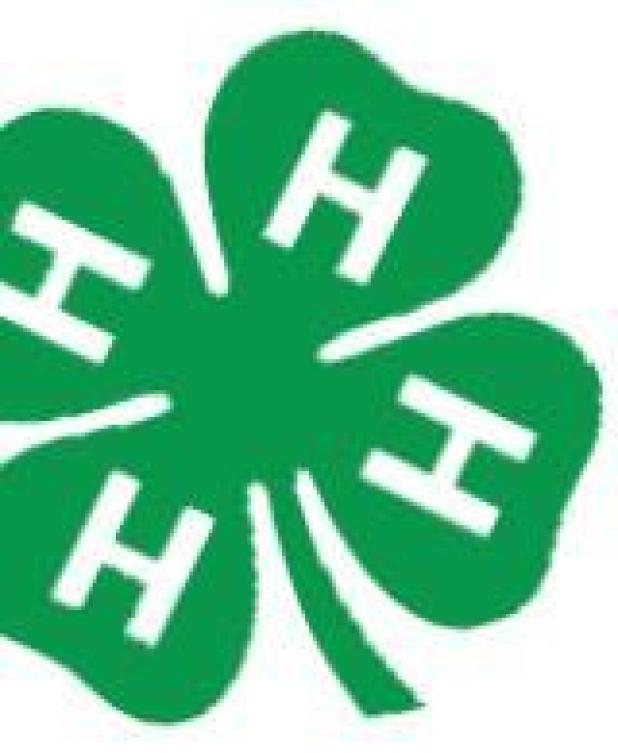 Summer contests set for 4-H’ers and others