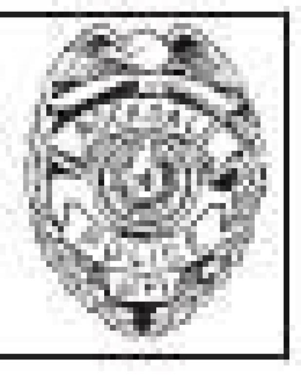 Two short chases for police in week