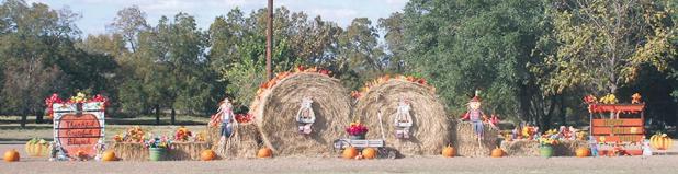 Hey, hay