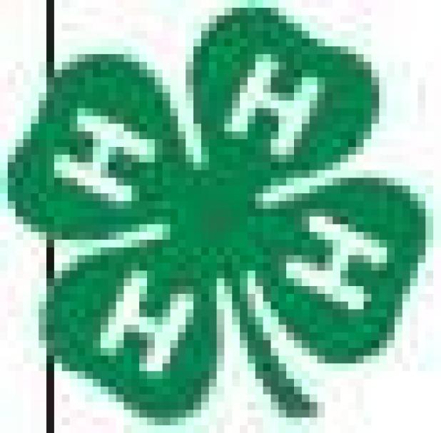 Milam 4-Hers win at AG ID contests in Belton Friday
