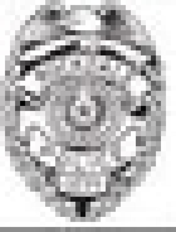 Alt Text for Image