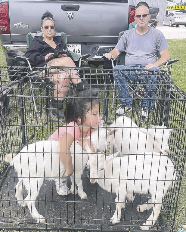 GOATS FOR SALE