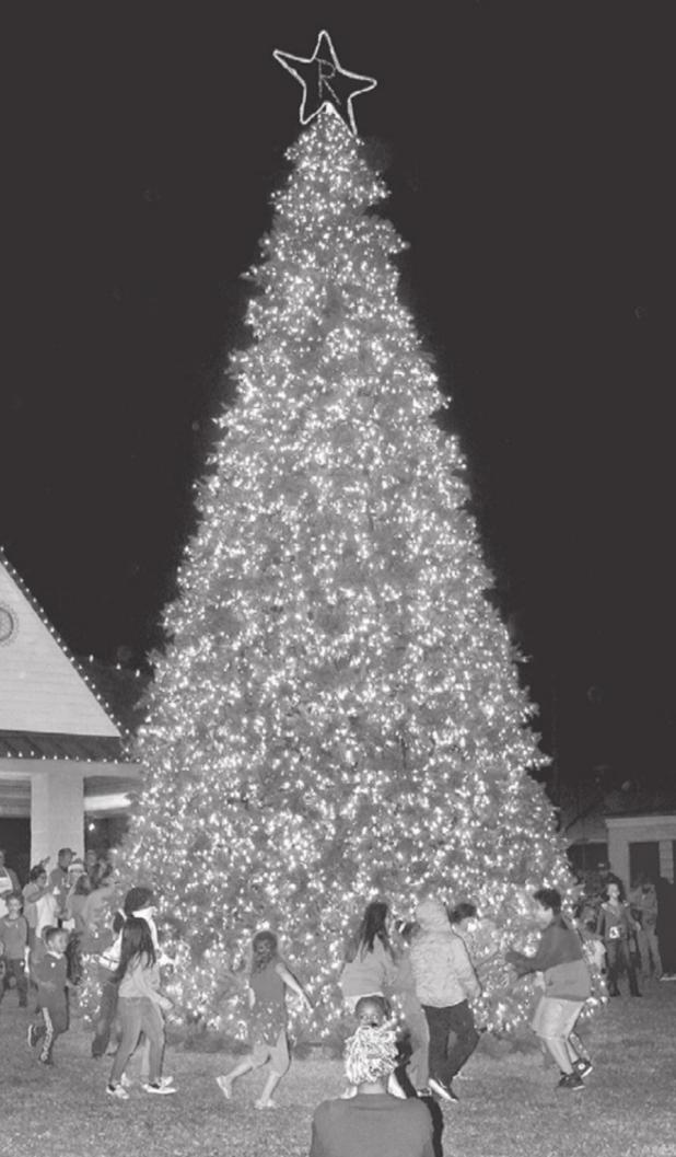 Oh Tannenbaum