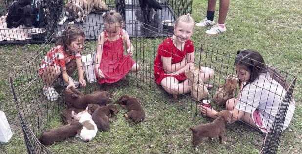 A BIG HIT— Rockdale Community Market held its first fair at Wolf Park on Saturday and these puppies from Rockdale Animal Shelter were a big hit with these girls. The market will be held each Saturday from 9 a.m. to 1 p.m.