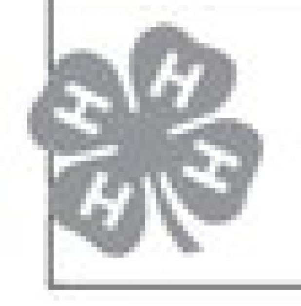 4-H, Cameron FMC youth to present holiday gift idea exchange Nov. 24th