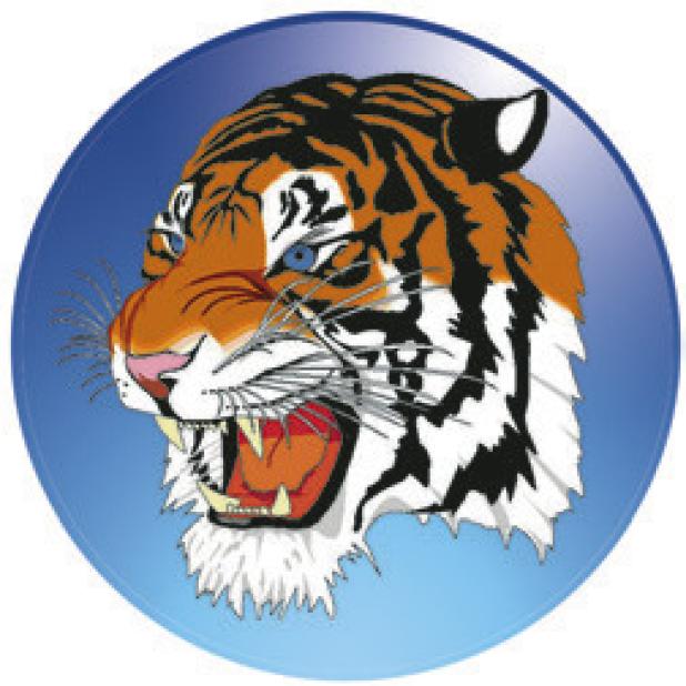 ROCKDALE BASKETBALL