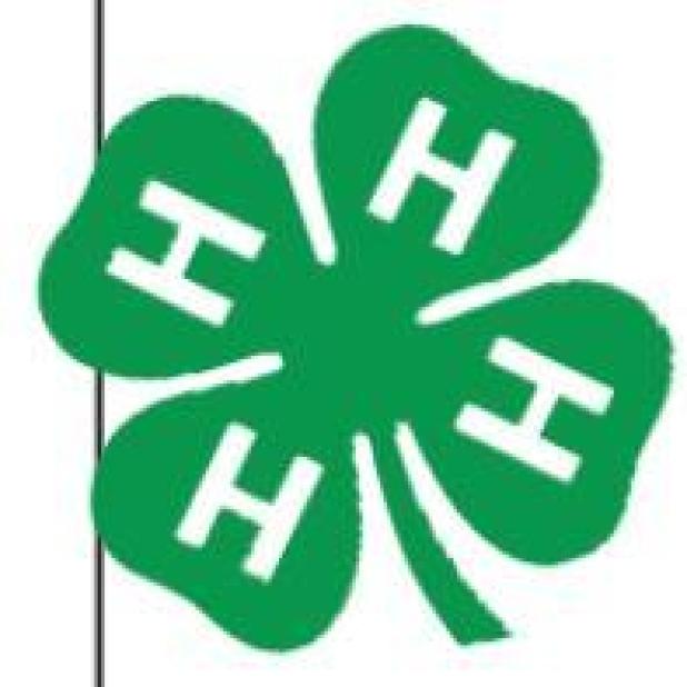 Everyone wins in 4-H tie-dye contest