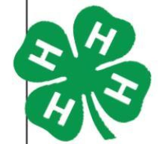 Learning-by-doing 4-H year starting for Milam County