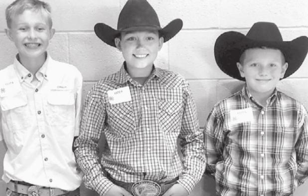 4-H’ers compete in horse judging