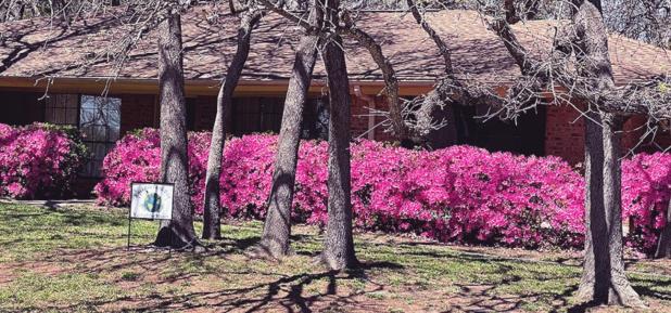 YARD OF THE MONTH