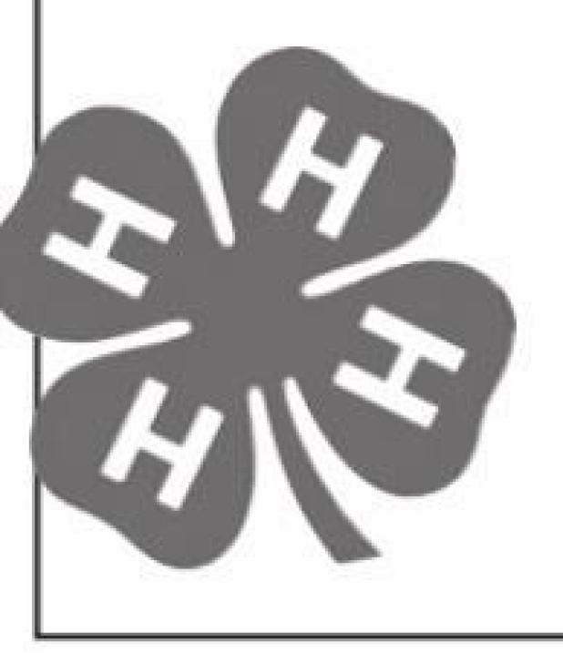 Results listed for 4-H record books