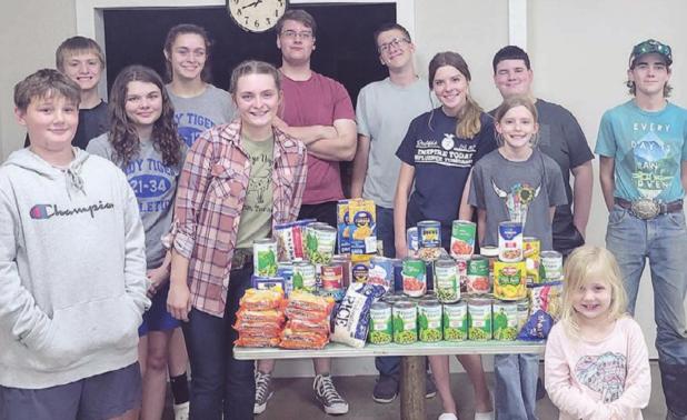ROCKDALE 4-H PROJECT