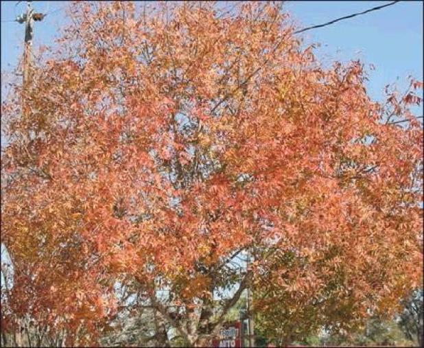It’s fall, y’all