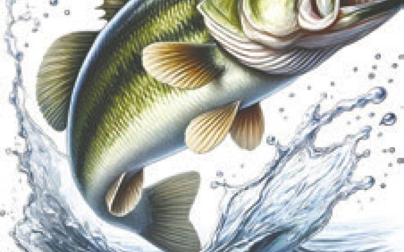 TP&amp;W FISHING REPORT