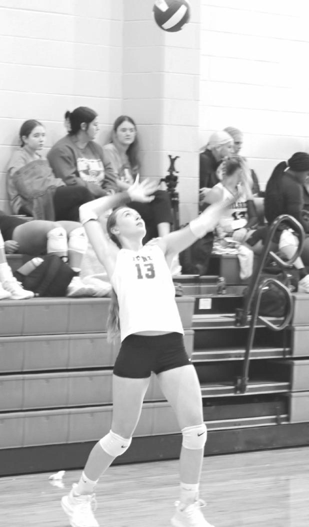 Rockdale Lady Tiger Kyndal Selgelid (13) serving the ball. The Lady Tigers defeated the Thorndale Lady Dogs last week at home and also played in the Little River- Academy Tournament. Reporter/Nathan Flores