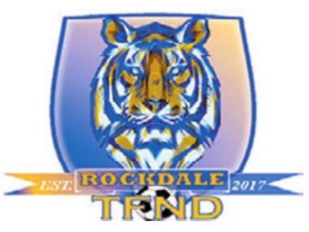 Soccer: 11 Tigers earn district honors