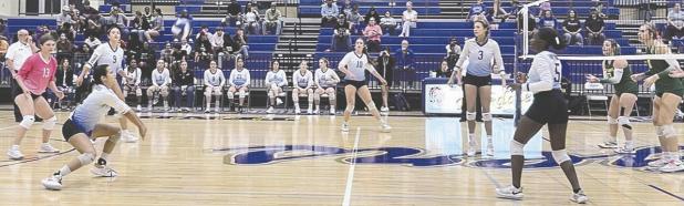 LADY TIGERS VOLLEYBALL