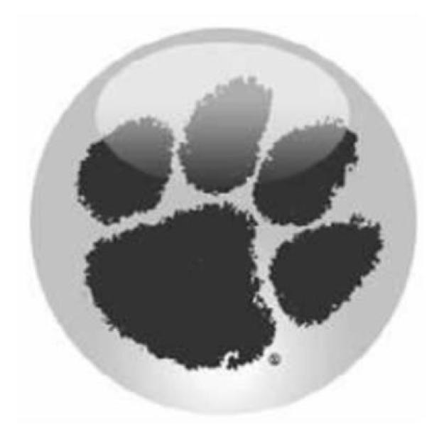 JV Tigers down Academy 36-7