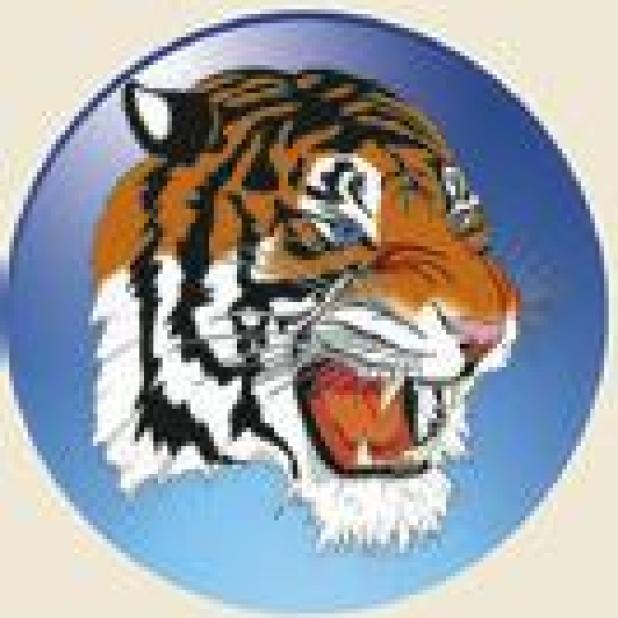 Lady Tigers (Jarrell Tournament)