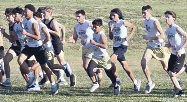Rockdale Tigers Athletics photos